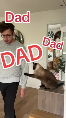 DAD ,, lmoa ,, send 2 some1 who dont let  u donanything,, ok #bagagwa #hoko #Homecoming #foryour dad #catsoftiktok 