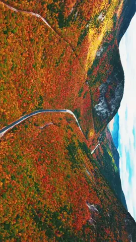 Autumn road trip through Crawford Notch - worth every mile! 🍁🚗🍂 . . . . #fallfoliage #autumnvibes #newhampshirefall #newenglandfall #whitemountainsnh #falltravel #roadtrip 