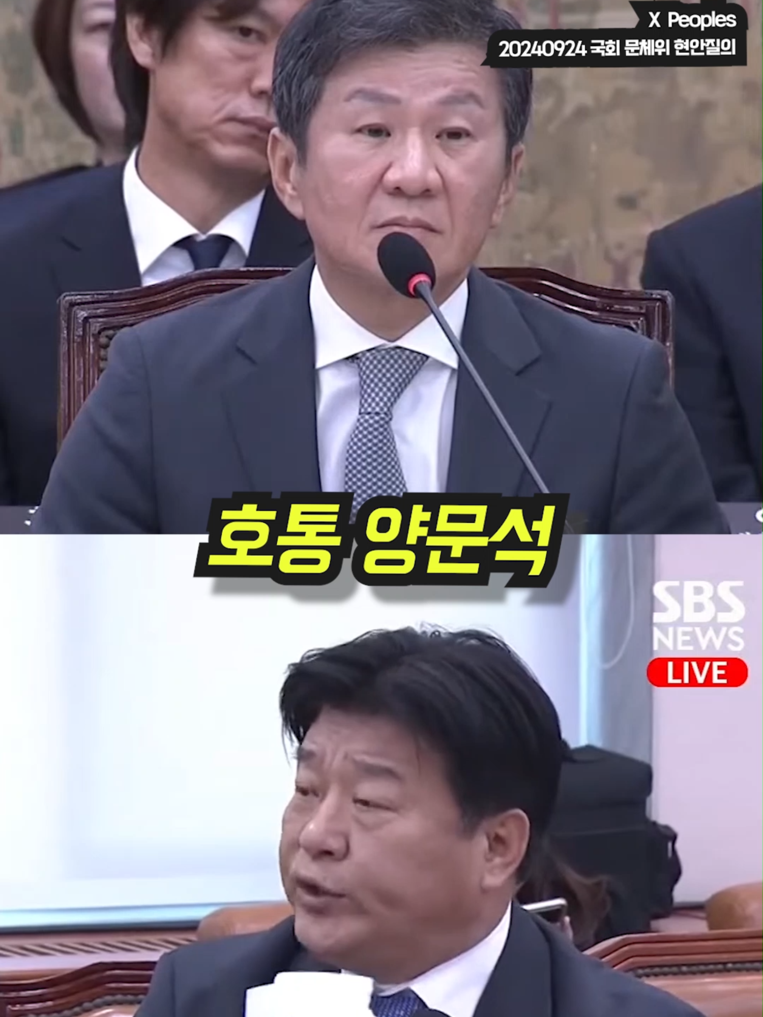 국회 문체위, 축구대표팀 감독 선임 문제, 카리스마 양문석, 호통 양문석, 거짓말쟁이 양문석?? #홍명보 #정몽규 #축구협회 #이임생 #양문석 #문체위