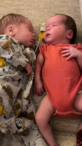 My 🩷💙 #twins #babiesoftiktok #firsttimemom 