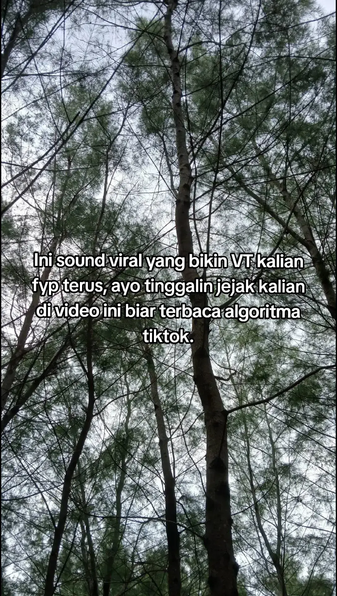 Sound viral bikin fyp✅ #affiliatetiktok #fyppppppppppppppppppppppp #affiliatepemula #mutualantiktok