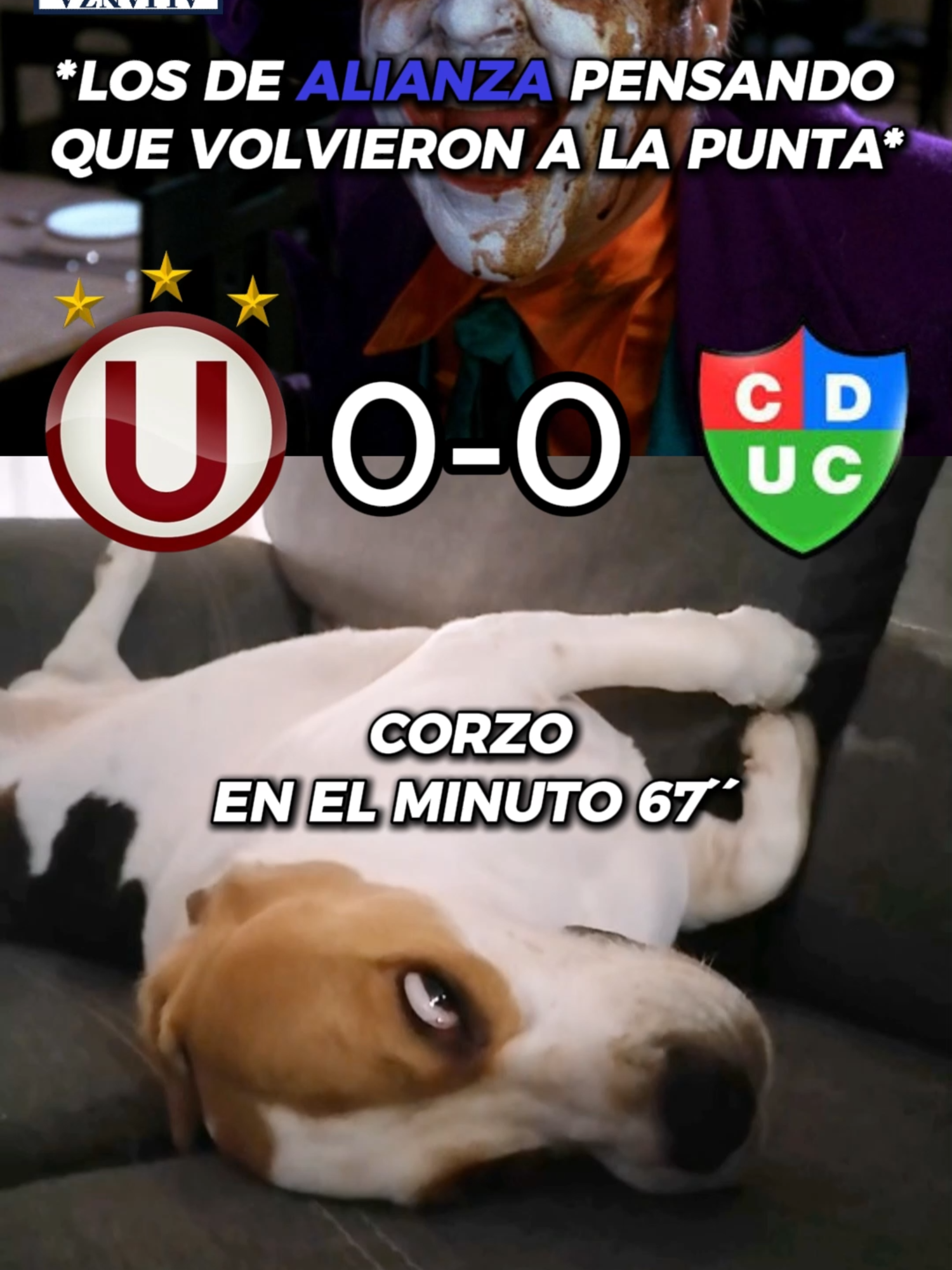 JSJAJAJA CORZITO CMSR😂 #universitariodedeportes #alianzalima #ydaleu #centenario #peru #futbol #humor #comedia #viraltiktok