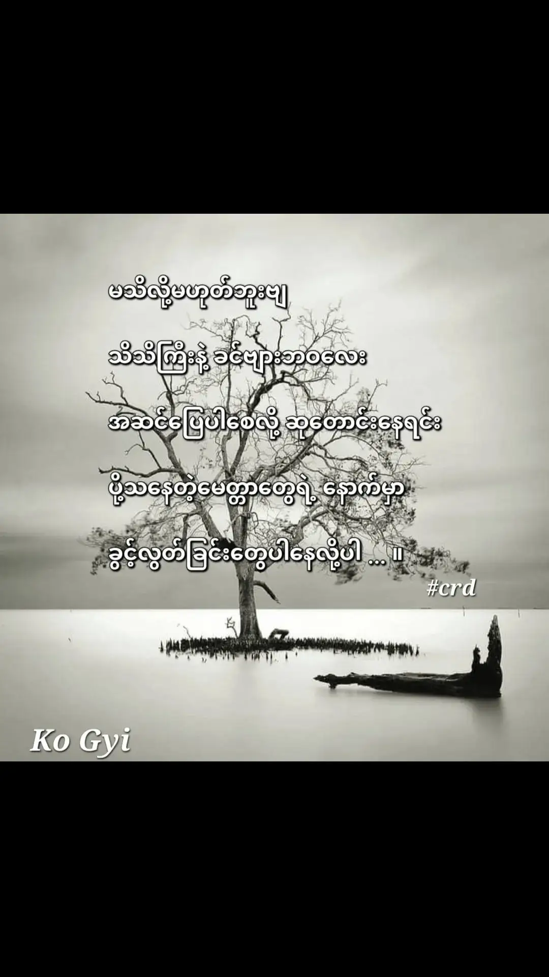 #ဖြေဆေးမဲ့ဝေဒနာ #အသဲလေးတော့ပေးသွားနော်😍❤️❤️❤ #myanmartiktok2024🇲🇲🇲🇲 