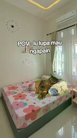 moga aja rame kalo gk juga gpp #pov #kucingmeme #semogafyp ##kucinglupamaungapain 
