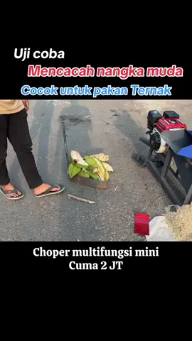 Hasil cacahan nangka muda#mesincacah #mesinchoper #mesincacahrumput #chopermultifungsi #mesincacahmultifungsi #mesinpeternakan #pakanternak #terbaru2024 #mesinmultifungsi #mesinchopper 