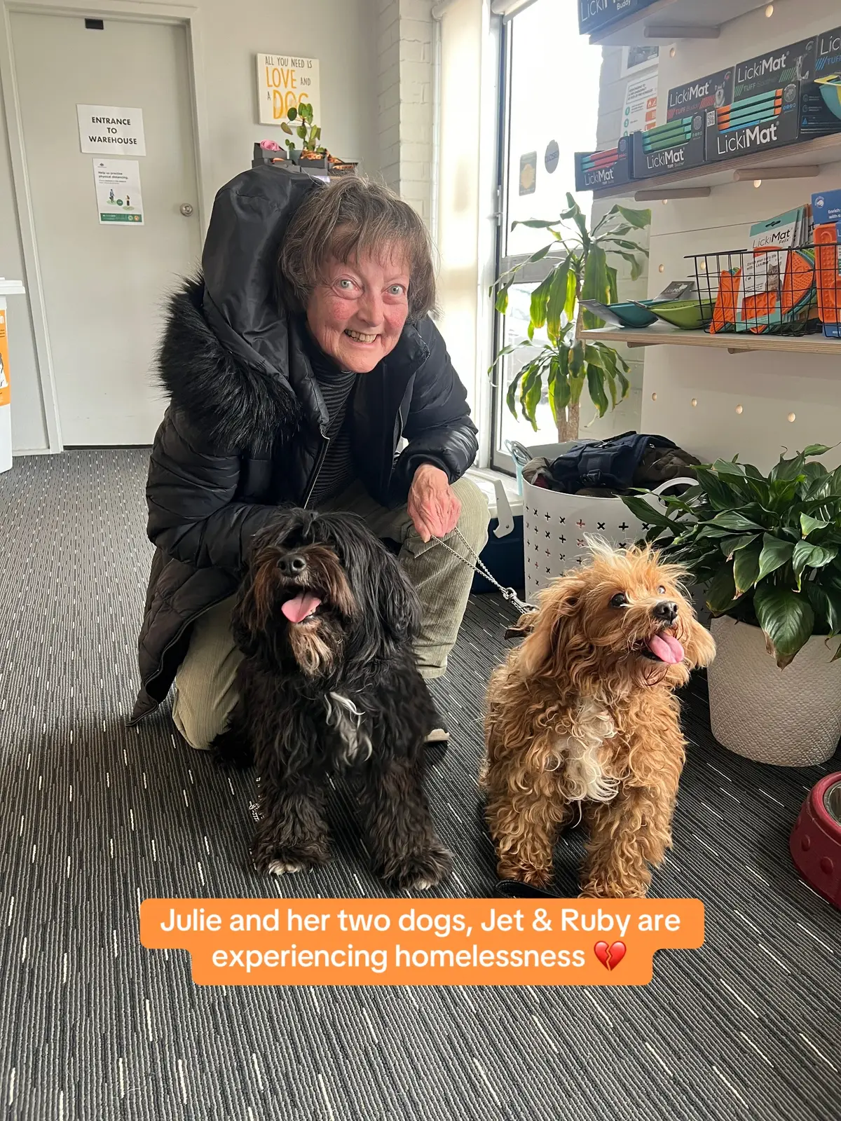 These two sweet souls have come into foster care to give their mum a bit of time and space to find a home. We believe no one should ever have to choose between their pets and safe shelter 🐾🧡 #homelessness #fostercare #fosterdogs #fosterdogsoftiktok #fostercarestories #homelesspets 