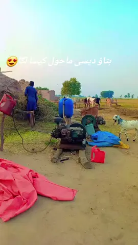 #دیسی #ماحول