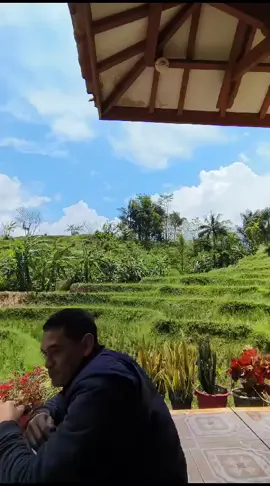 rumah viral naringgul #fypシ゚viral #viraltiktok 