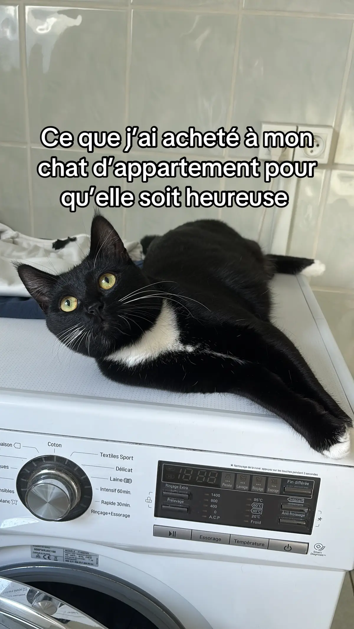 #Meme #foryoupage #fypシfypage #pourtoii #fyp #pourtoipage #chat #kitty #cats #catsaccessories #chatnoir #chatdappartement #fontaineaeau #arbreachat 