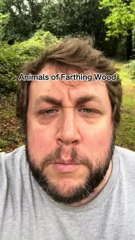 Anyone else remember this brutal programme? #parents #fyp #parentsofinstagram #parentinglife #comedyvideos #funny #phonics #parenting #ukcomedian #kidstvshows 