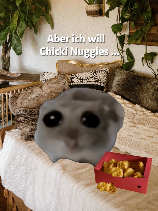 2024 ist das Jahr der Sparziele! 🌟 Aber wer kann schon zu Chicki Nuggies 'nein' sagen? 🍗 #Sparziele #LBS #sadhamster #sadhamstermeme #fyp