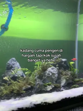 hehe #fotolive #sadstory #fyp 