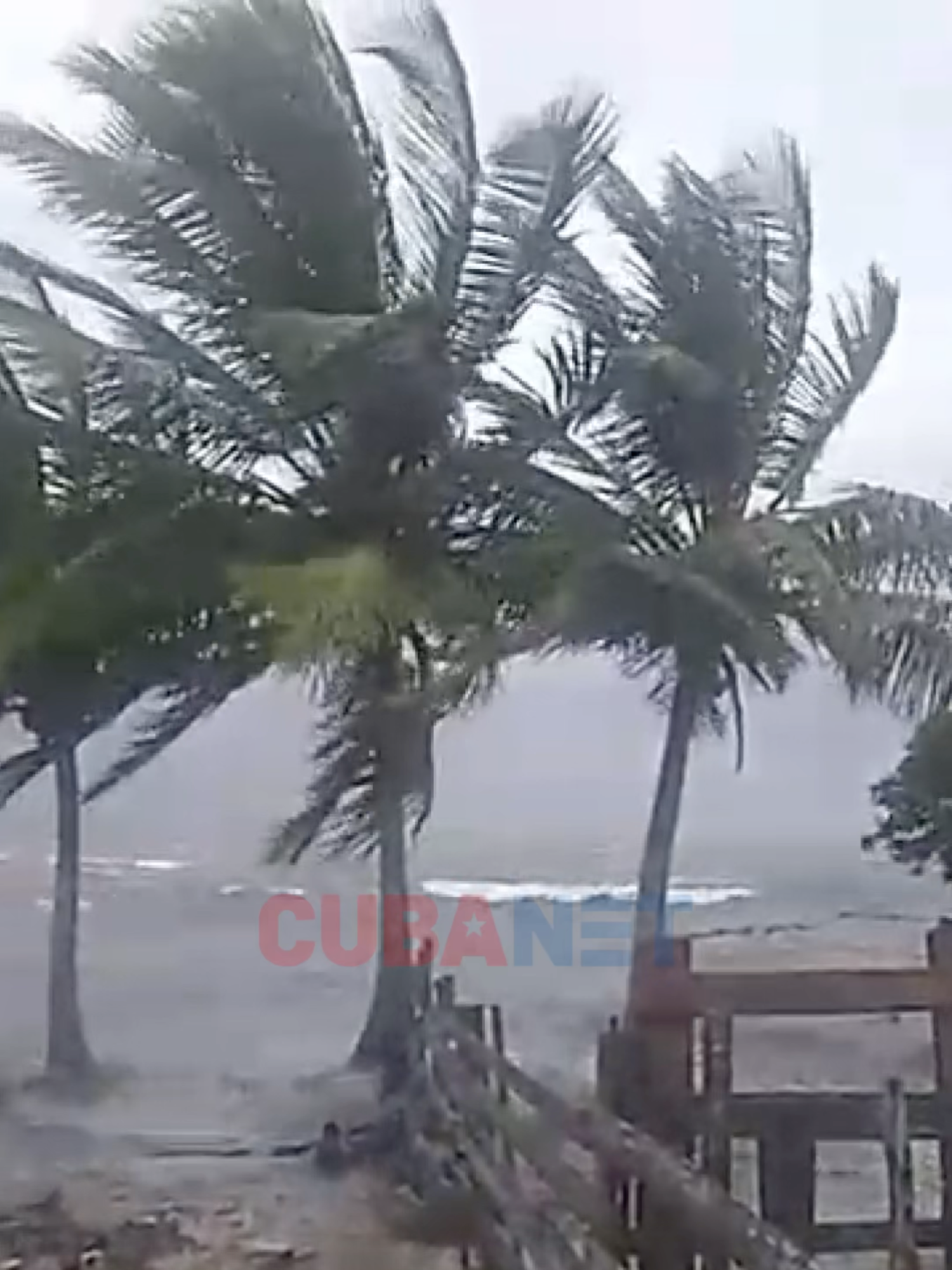 Amanecer en Artemisa y Pinar del Río bajo la tormenta Helene #cuba #noticiascuba #soscuba #lahabana #cubanos #jovenes #cubanet  #pinardelrio  #artemisa  #cubanosenmiami