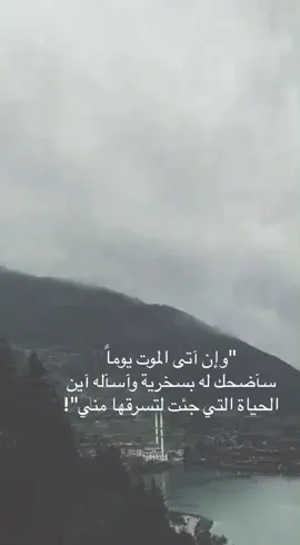 #الكويت🇰🇼 