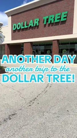 another day, another trip to dollar tree! 🤑🌳 #dollartree #dollartreebeauty #dollartreehair #dollartreefinds #dollartreehaul #dollartreemusthaves #dollartreehacks #dollartreeshopping #shopwithme #newatthedollartree #namebrandatdollartree #dollartreedupes #eyemasks #marissainthemidwest #creatorsearchinsights 