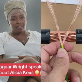 Jaguar Wright accuses Alicia Keys of stealing Swizz Beatz from his ex-wife, Mashonda. #aliciakeys #swizzbeatz #jaguarwright #storytime #homewrecker #tiktokuni #fypシ゚viral #pov #foryoupage #fypツ 😘
