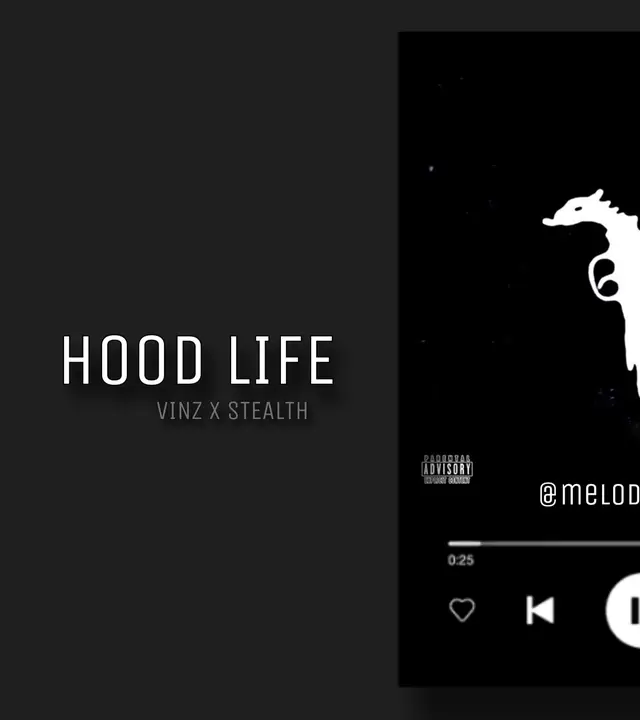 Part 156 | #hoodlife #vinz #stealth #fy #foryou #musik #song #text #lyrics #shqip #albanian #albania #🇦🇱 #🇽🇰 #rap #hellbanianz 