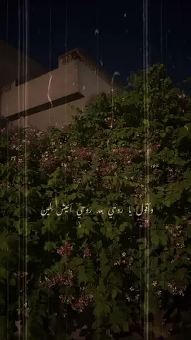 مكتوب لقلبي بعد قلبه يعيش حزين وأقول يا روحي بعد روحي أعيش لِمين يا ريت بإيدنا بأيدنا تاني نجمع شملنا ويعود حبيبنا حبيبنا يحضن الأشواق يا ريت  . . . #WelcomeWassouf #لو_كل_عاشق 1999  #فوزي_ابراهيم #امجد_العطافي #طارق_مدكور #سلطان_الطرب  #جورج_وسوف_لو_كل_عاشق  #لو_كل_عاشق_في_الهوى_أختار_نصيبوا #مكتوب_لقلبي_بعد_قلبو_يعيش_حزين #ابو_وديع_سلطان_الطرب 
