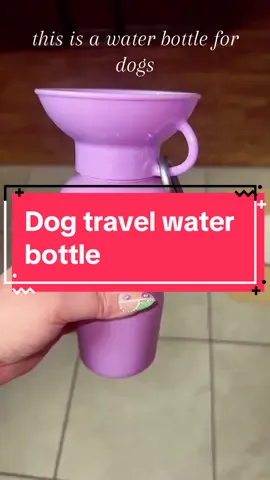 Travel Water bottle made for dogs! @Springer Pets #waterbottle #travelbottle #petwaterbottle #dogs #springerpets #tiktokshopfinds #creatorsearchinsights #fallfreshness #fall #tiktokblackfriday #fyp 