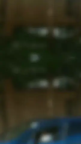 #CapCut 