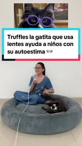 Truffles la gatita que usa lentes y ayuda los niños con su autoestima ❤️🐱 Fotos y videos: @Truffles_the_kitty   #goodnews #buenasnoticias #historiasgatunas #hopecore #hopecoretiktok 