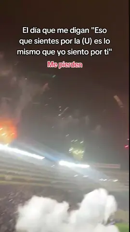 🦁💌 #monumental #chicacrema #foryoupage #trincheranorte #centenariocrema #centenariocrema #universitario1924 #ydaleu #garracrema #garracremasiempre❤️💛❤️💛 #fyp #universitariodedeportes❤ #trincheraunorte 