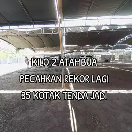 kilo 2 atambua pesta terbesar lagi 