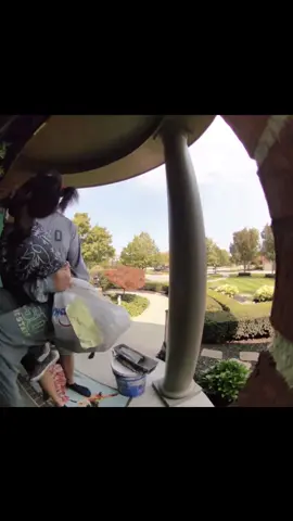 Have I ever been chased by a chihuahua? Yes yes I have Original video: @Nolan Loomis 