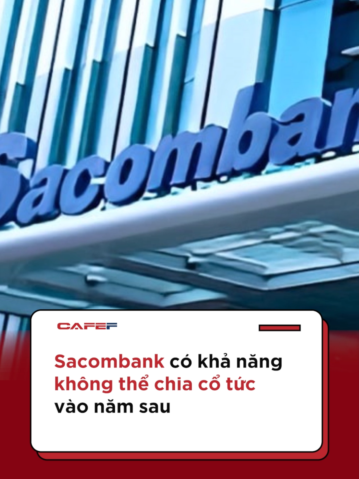 Góc tin tức: Sacombank có khả năng không chia cổ tức năm thứ 10 liên tiếp. #Cafef #AMM #sacombank