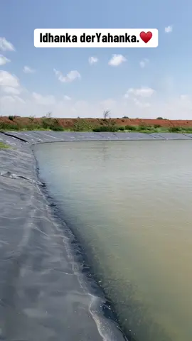 #fvp #somalitiktok #@Sacdiya Elmi daamur #tourism 