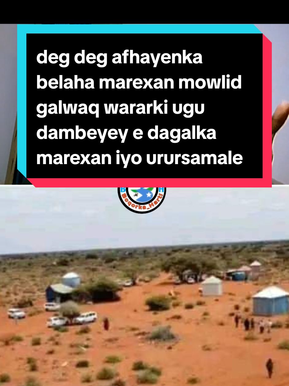 #somalitiktok #boqorka____harti #daarood #puntland #khaatumostate🐎🇸🇴 #maakhir🇧🇸 #mareexanpowers🇱🇺💪 #ogadenia #jubbaland 