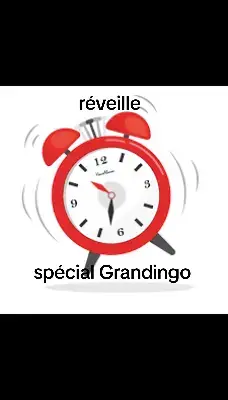 @Grandingo #capcut #grandingo #sonnerie #fyp #tk78 #réel #happybirthday #drole #lol #1k? #faitepasflopsvp 