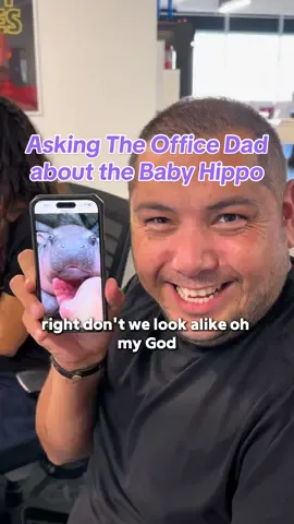 Did you know about Moo Deng? #moodeng #babyhippo #thailand #moodengmeme #officedad #officehumor #perolike @South Central Dad @HolaKennya @Monica @Alex C 