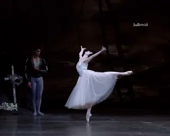 Natalia Osipova and Carlos Acosta in Giselle | 2014 ˚ ༘ ೀ⋆｡˚⋆˚✿˖°  #ballet #ballerina #ballerinas #balletdancer #balletdancers #balletclass #royaloperahouse #royalballet #theroyalballet #royalballetandopera #balletvid #balletvideo #balletvideos #ballettok #balletcore #fyp #viral #nataliaosipova #osipova #carlosacosta #giselle #giselleballet #petipaballet #peterwright #giselleact2 #gisellewillis #myrtha #queenofthewilis 