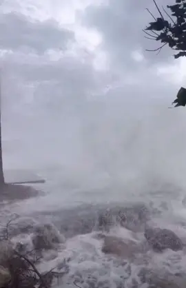 Large #waves crash into Olearys dock ahead of #hurricanehelene in #sarasotaflorida #stormsurge #florida #hurricane #floridians #fyp #nature #foryoupage #viral #tiktokpartner #tropicalstorm #jimcantore #floridacheck 