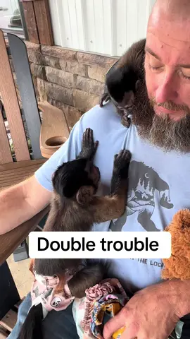 Double trouble but oh so cute🥰