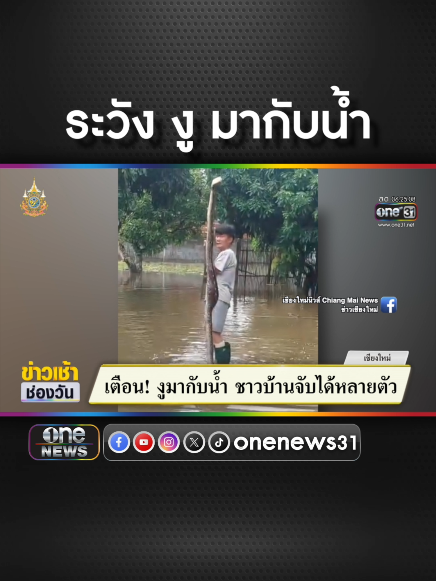 ระวัง งู ! มากับน้ำ ชาวบ้านจับได้หลายตัว  #ข่าวช่องวัน #ข่าวtiktok #สํานักข่าววันนิวส์  HILUX REVO PRERUNNER สบาย…จนคุณใช้ชีวิตได้มากกว่า​