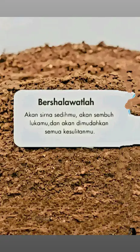 #asalamualaikum🙏 #solualanabimuhammad🤲 #allahmahabesar❤️❤️❤️ 