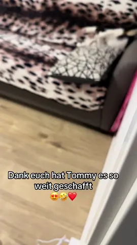 #tommy_derkater #cats #catsoftiktok #catslovers #catsvideo #catstagram #catsmoves #cat #katze #katzen #katzenvideos #katzenliebe #katzenauftiktok #funnycats #funny #funnyvideo #funnymoments #funnytiktok #fy #fypシ #fypシ゚viral #fypage #fyppppppppppppppppppppppp #vira #viralvideo #viralvideo #viraltiktok #virall #viral_video #viralvideosofficial  #ideen #instergram #booster #fürDich 