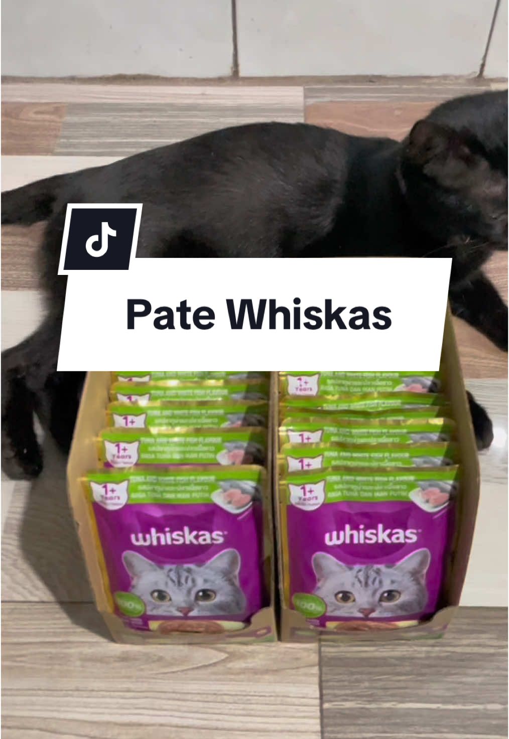 Pate Whiskas cho các bé mèo 🐱 #petshoponline #thucanchomeo #petshop #petshop #whiskas #tiktokshop 