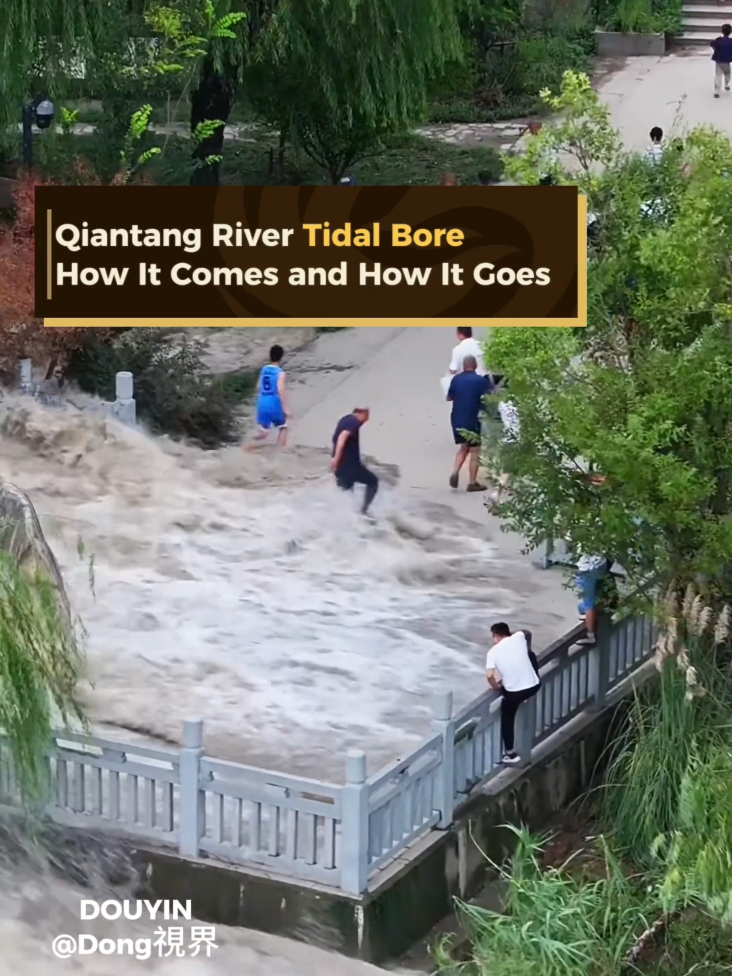 Qiantang River Tidal Bore, How It Comes and How It Goes Chinese Photographer's Aerial Footage Captures Stunning Beauty of Qiantang River Tides Receding in Zhejiang Province. #fyp #viraltiktok #chinatiktok #tourism #photography #nature