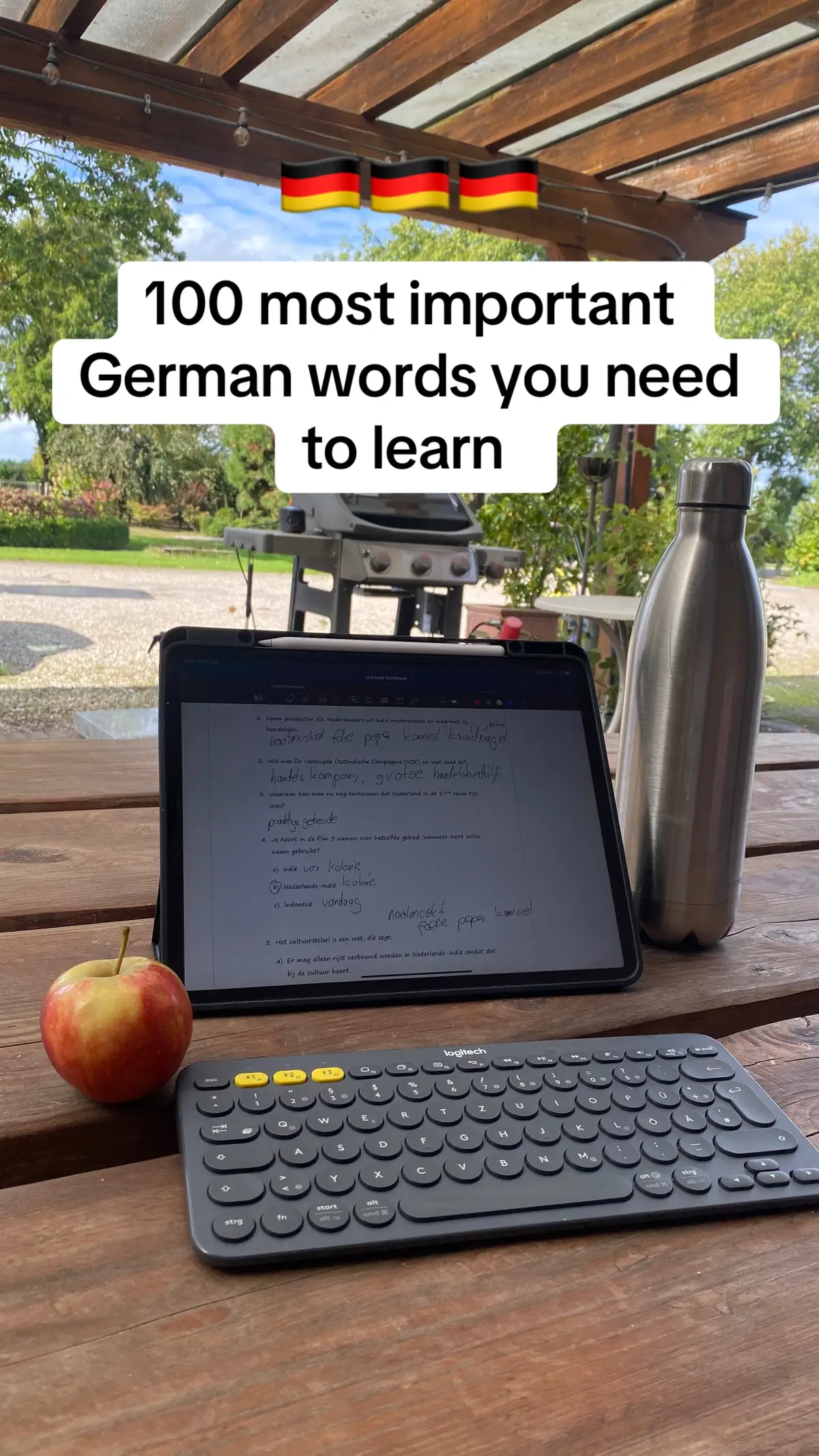 Perfect for beginners or a quick refresh 🗣️ Let’s master German together! 🇩🇪 #germanlesson #learngermanonline #learngerman #learngermanfast #germannotes 