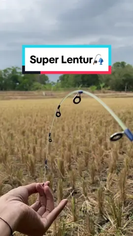 Joran super lentur bahan fiber solid harga terjangkau #mancing #mancingmania 