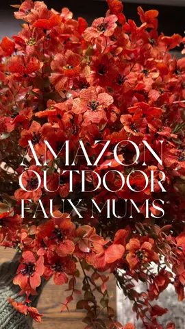 AMAZON OUTDOOR FAUX MUMS I just got in the prettiest faux outdoor mums from Amazon 😍 this color is so rich for fall and these will look great in our wicker planters! Grab these if you don’t want to worry about keeping real ones alive! @Amazon  SHOP HERE:  https://liketk.it/4S48l #amazon #amazonfinds #fall #amazonhomefind #Home #fallfrontporch #fallporch #mums #fauxmums #homedecor #falldecor #fallflowers #fallflorals #fallhomedecor #frontporch #affordablehomedecor #cozyathome #cozyhome 