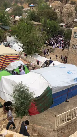 كلك نما 🥹🤍 #ايزيدية🦚 #fypシ゚viral #ezidxan #fyp #شنگال #fypシ #viral #ezidi #tranding #lalish #لالش #ملتي_مِڼـّي_حياتي🌚💞🦚 