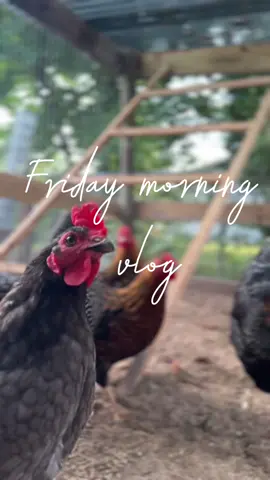 Good morning loves, happy friday 🤍  #Vlog #goodmorning #chicken #foryoupage #fyp #morningroutine 