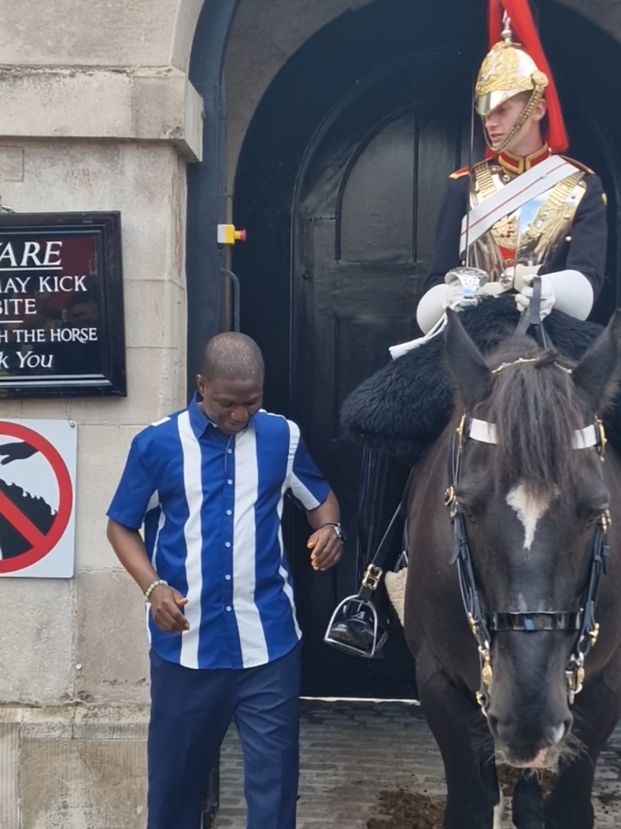 #horseguard #kingslifeguard #fyp #kingslifegard #london #sword #horse #getbehindtheline 