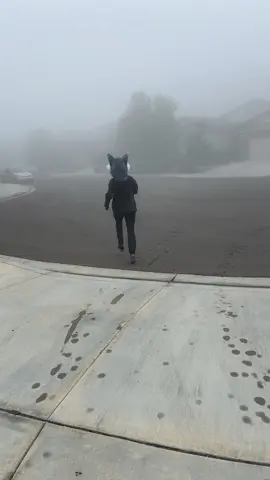 your unemployed, carless friend after the function: #furry #furryfandom #fursuit #fursuiter 