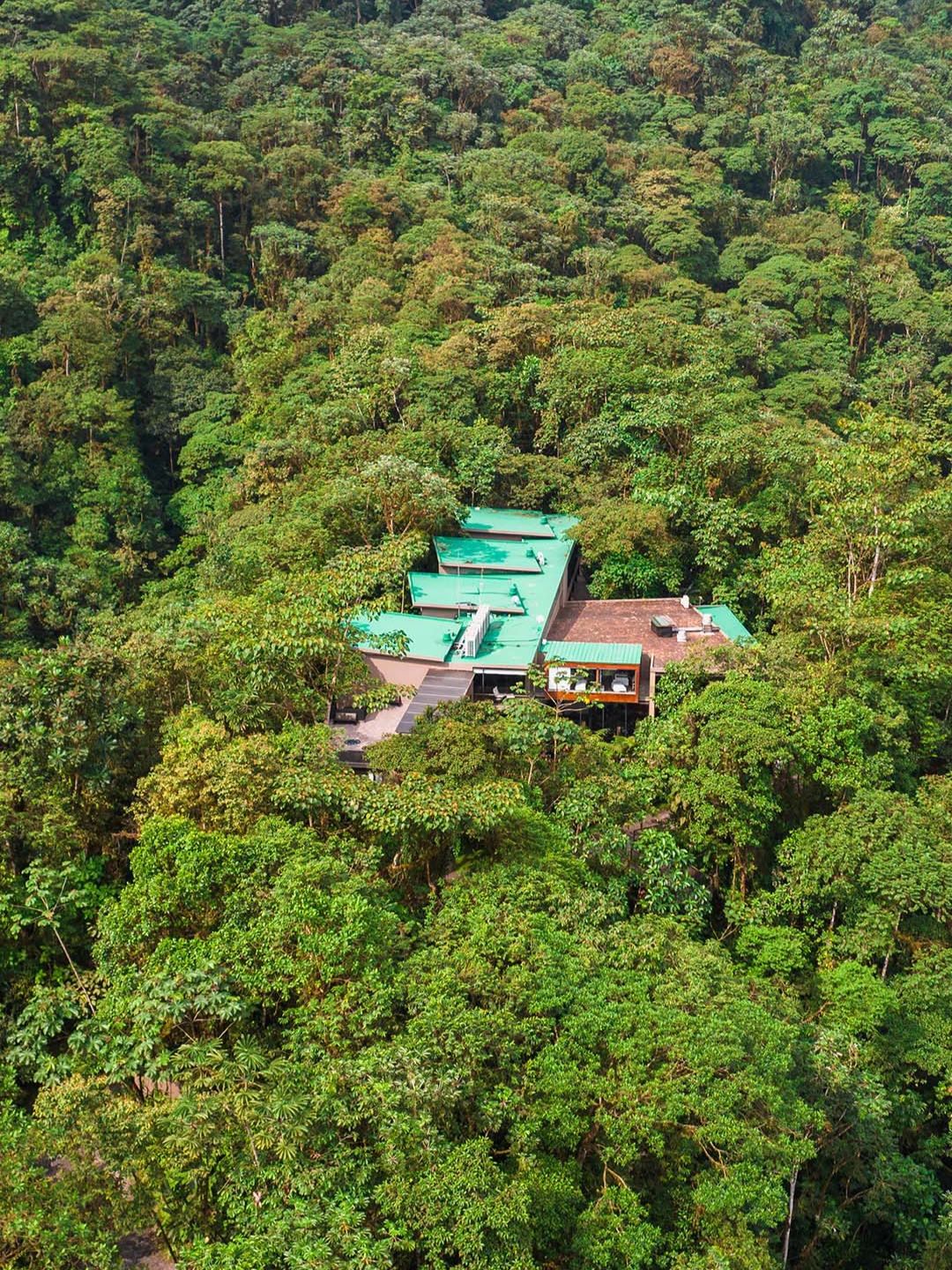 💫 Mashpi Lodge: Where Nature Meets Luxury 🌿 🍃 Discover the Ecuadorian Rainforest at its best! With panoramic views, we bring you a cathedral of natural beauty and comfort. ✨ 😍 Welcome to a world of wonder just outside your window. 🌄🏞️ #MashpiLodge #MashpiReserve #VisitEcuador #EcoLodge #yourjourneyinspiresus #MetropolitanTouring