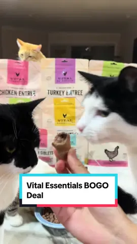 Starting TOMORROW 9/28-9/30, ALL @Vital Essentials freeze dried food, treats and frozen food is BOGO FREE for Neighborhood Pet Store Day! *Only at participating stores I just stocked up on my cats’ favorite proteins while celebrating Neighborhood Pet Store Day! Whether you have a playful pup or a curious cat, there’s a flavor they'll love, made from high-quality, nutrient-packed ingredients. Explore your local retailers, connect with fellow pet lovers, and treat your furry friends to something special 🐈🐕❤️ #AD #VitalEssentials #PetFoodDeals #NeighborhoodPetStoreDay 